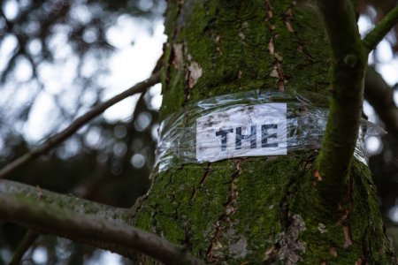 Foto de "Un pedazo de papel se adjunta al árbol con cinta adhesiva. Concepto de contaminación forestal y medioambiental" - Imagen libre de derechos