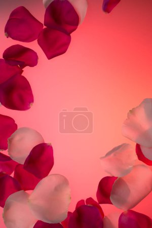 Foto de Patrón abstracto. pétalos de rosa roja y blanca - Imagen libre de derechos