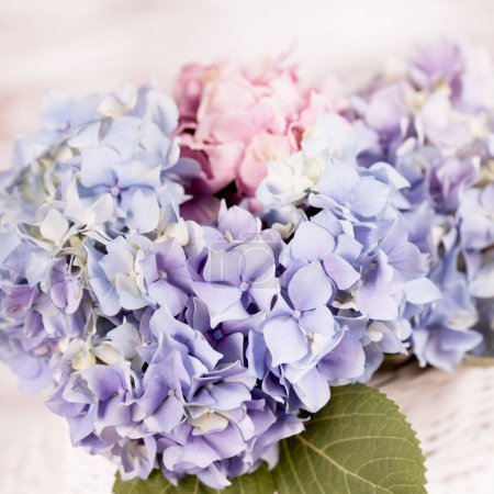 Téléchargez les photos : Belles fleurs en fleurs. Concept d'heure d'été - en image libre de droit
