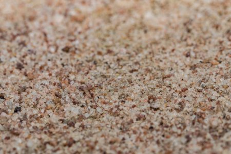 Téléchargez les photos : Grains de sable dans le désert - en image libre de droit