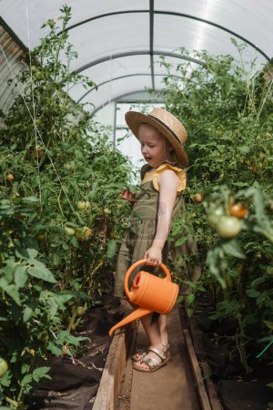 Photo for A little girl in a straw hat is picking tomatoes in a greenhouse. Harvest concept - Royalty Free Image