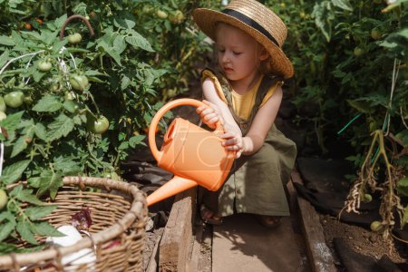 Foto de La niña con sombrero de paja está recogiendo tomates en un invernadero. Concepto de cosecha - Imagen libre de derechos