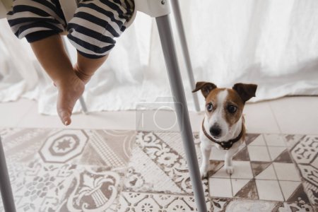 Téléchargez les photos : Plan recadré de bébé et chien sur le sol - en image libre de droit