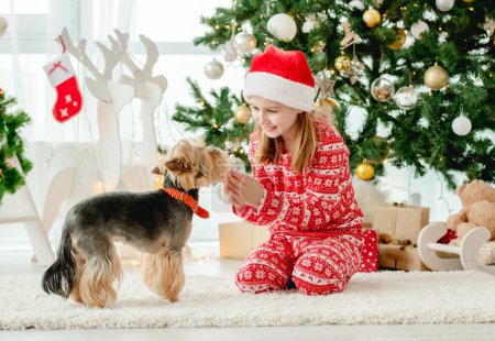 Téléchargez les photos : Enfant en période de Noël, mignonne petite fille jouant avec le chien - en image libre de droit