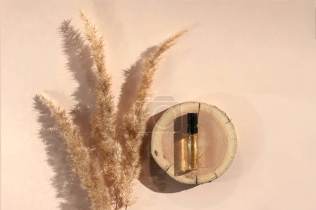 Foto de Probador de perfumes con líquido transparente en un corte de madera con hierba de pampas sobre fondo beige - Imagen libre de derechos