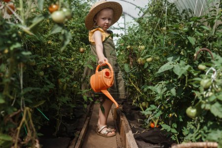 Photo for A little girl in a straw hat is picking tomatoes in a greenhouse. Harvest concept. - Royalty Free Image