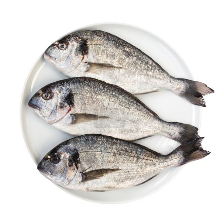 "Frischer Dorada-Fisch auf weißem Teller isoliert über weißem. Ansicht von oben"