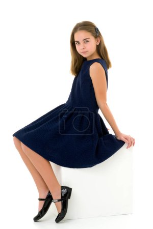 Photo for "Beautiful Girl Wearing Skirt Sitting on Ledge" - Royalty Free Image