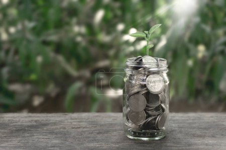 Téléchargez les photos : "Usine de plus en plus d'argent Économiser des pièces de baht thaïlandais dans une bouteille en verre sur une table en bois avec effet filtre style vert rétro. Argent économiser Concept" - en image libre de droit