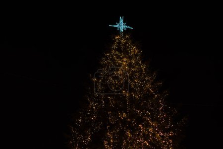 Photo for LVIV, UKRAINE - 27 December 2020: New Year and Christmas tree in the European city of Lviv at night - Royalty Free Image