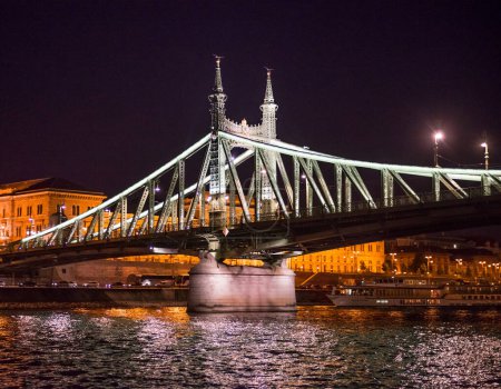 Téléchargez les photos : Belle vue nocturne sur le pont Liberty - en image libre de droit