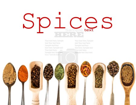 Photo for Spoons with herbs and spices - Royalty Free Image