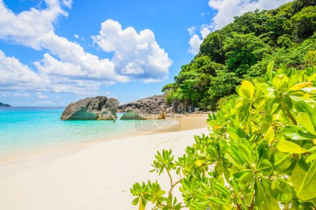 Foto de Isla Similan, vista de la playa tropical - Imagen libre de derechos