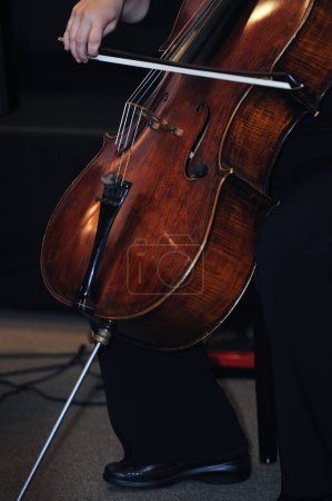 Téléchargez les photos : Bassiste de musique classique - en image libre de droit
