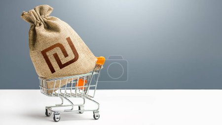 Photo for Israeli shekel money bag in a shopping cart. Public budgeting. Profits and super profits. Business and trade concept. Minimum living wage. Loans, microloans. Consumer basket. Economic bubbles. - Royalty Free Image
