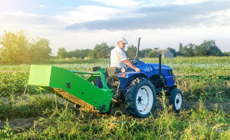 Téléchargez les photos : Un agriculteur caucasien adulte qui conduit un tracteur agricole se rend au champ pour récolter des pommes de terre. Technologies agro-industrielles. Cultiver la culture alimentaire et l'agroalimentaire. Campagne de récolte. Travaux agricoles. - en image libre de droit