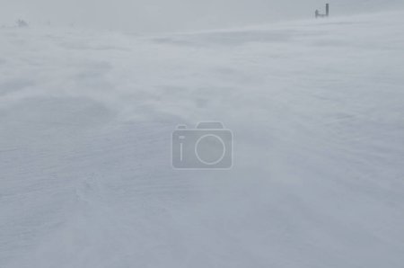 Téléchargez les photos : Paysage d'hiver vue panoramique - en image libre de droit