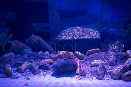Téléchargez les photos : "décor d'aquarium vide. Incroyable concept de monde sous-marin - en image libre de droit
