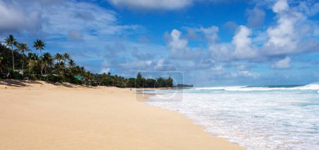 Téléchargez les photos : Lieux magiques à Oahu rive nord, Hawaï - en image libre de droit