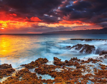 Foto de Lugares mágicos en Oahu costa norte, Hawaii - Imagen libre de derechos