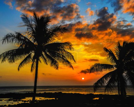 Foto de Lugares mágicos en Oahu costa norte, Hawaii - Imagen libre de derechos