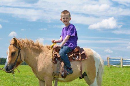 Photo for Child ride pony on nature background - Royalty Free Image