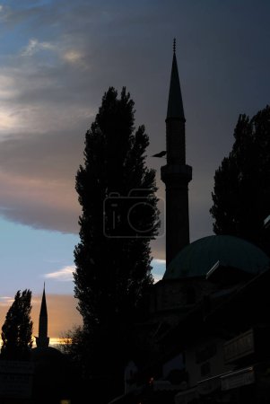 Téléchargez les photos : Mosquée en ville la nuit - en image libre de droit