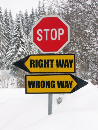 Photo for Right and wrong way road sign in nature - Royalty Free Image