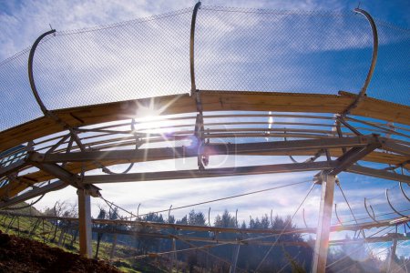 Photo for Alpine coaster in sunny day - Royalty Free Image