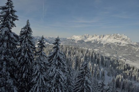 Téléchargez les photos : Arbres forestiers d'hiver aérien ensoleillé vue de dessus - en image libre de droit