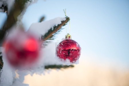 Téléchargez les photos : Gros plan de boules rouges brillantes accrochées à un sapin de Noël recouvert de neige - en image libre de droit