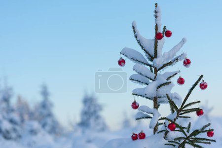 Photo for Fir tree decorated with red baubles for winter holiday outdoors - Royalty Free Image