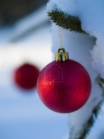 Téléchargez les photos : Décoration de boule arbre de Noël - en image libre de droit