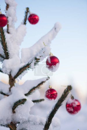 Foto de Navidad festiva cubierta de nieve decorada con adornos rojos brillantes - Imagen libre de derechos