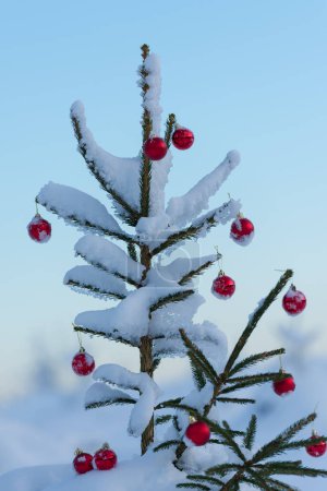 Photo for Festive fir tree decorated with red balls for winter holiday outdoor - Royalty Free Image