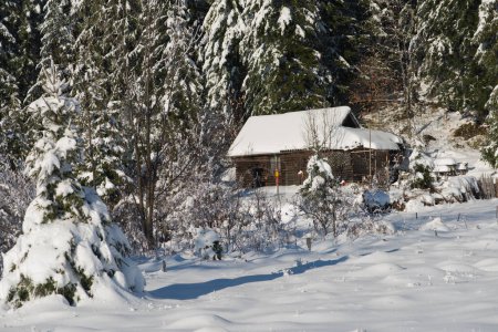 Foto de Pequeña cabaña de madera en wildernes cubierta de nieve fresca - Imagen libre de derechos