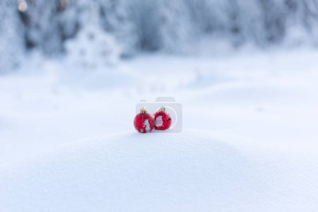 Téléchargez les photos : Boules de Noël rouges dans la neige fraîche - en image libre de droit