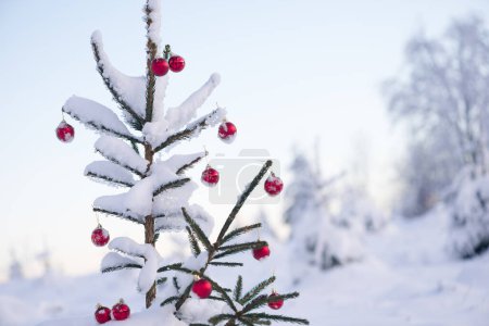 Téléchargez les photos : Sapin festif décoré de boules rouges pour des vacances d'hiver en plein air - en image libre de droit