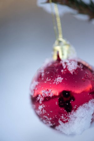 Téléchargez les photos : Boule de Noël rouge suspendue à l'épicéa avec espace de copie - en image libre de droit
