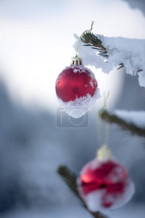 Foto de "bolas de Navidad en el pino
" - Imagen libre de derechos