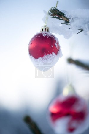 Photo for Closeup of shiny red baubles hanging on snow covered Christmas tree - Royalty Free Image