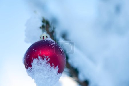 Foto de Bola roja de Navidad colgada en abeto cubierto de nieve con espacio para copiar - Imagen libre de derechos