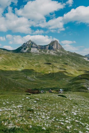 Photo for The mountain pass Sedlo is in the north of Montenegro. Fantastic green view of Saddle mountain, Durmitor massive, Montenegro - Royalty Free Image