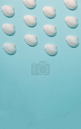 Foto de Pattern of shells over a pastel blue background, minimalism, design and digital resource, background with copy space - Imagen libre de derechos