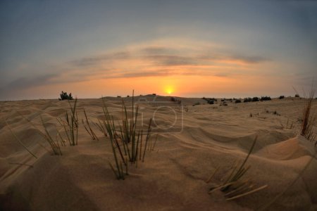 Foto de Hermosa puesta de sol en el desierto - Imagen libre de derechos