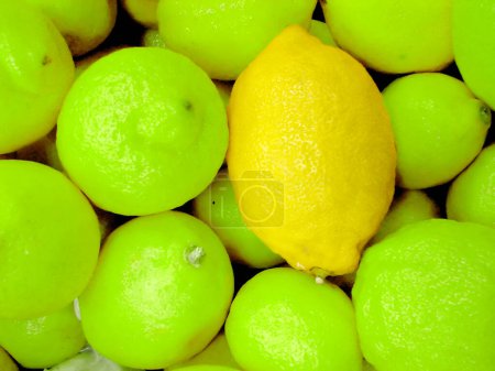 Photo for Special lemon, close up - Royalty Free Image