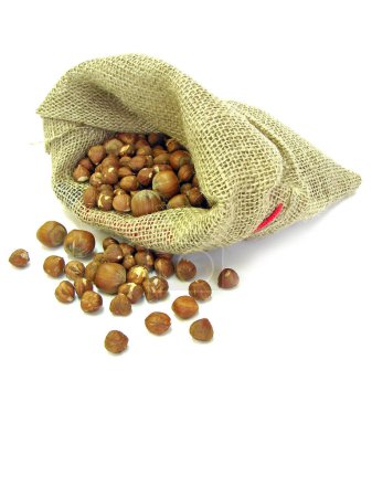 Photo for Nuts in sack on white background - Royalty Free Image