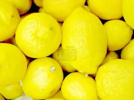 Téléchargez les photos : Vue rapprochée de citrons juteux biologiques mûrs frais - en image libre de droit