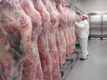 Foto de Carnicero en una fábrica de producción de carne - Imagen libre de derechos