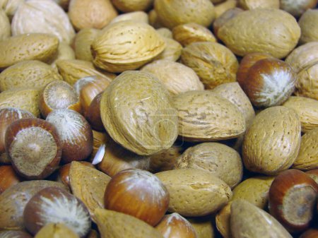 Photo for Background of many mixed nuts - Royalty Free Image